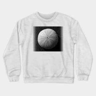 Seashell Crewneck Sweatshirt